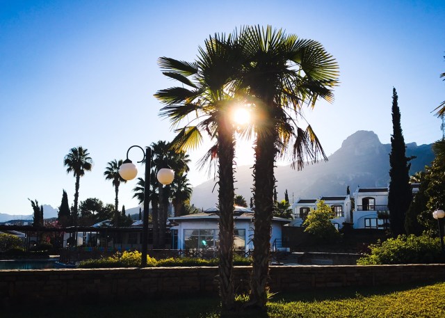 sun-in-trees-cyprus